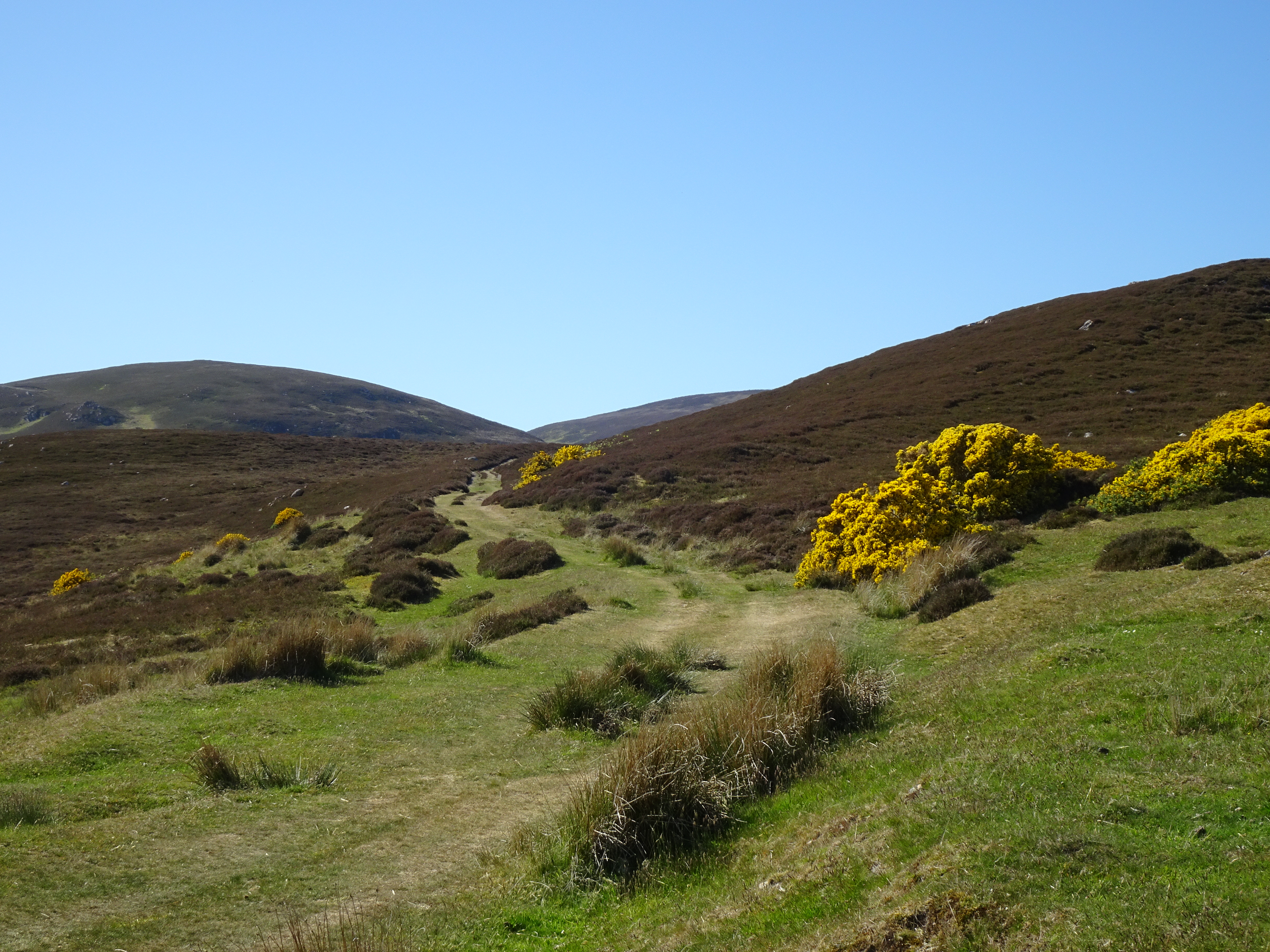 The Peat Road, Gartymore